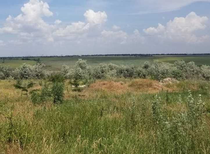 Фонтанка ,участок в активно застраиваемом районе