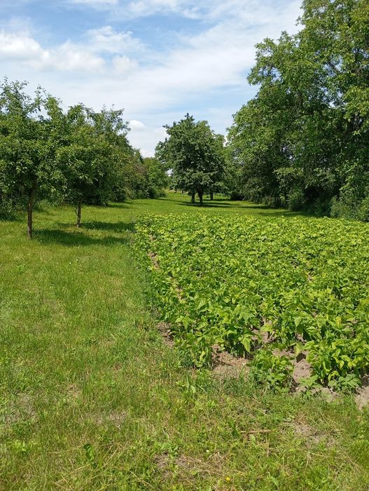 Продається будинок