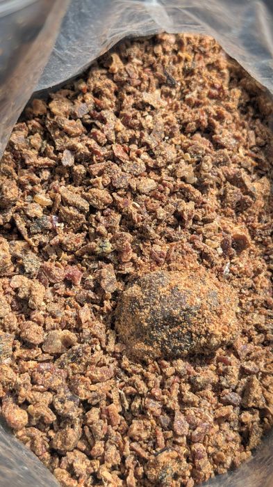 Propolis - kit pszczeli (0,5 kg)