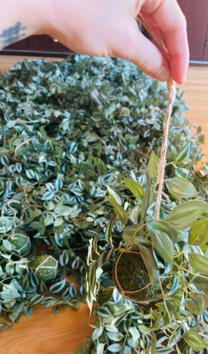 Dekoracja dżungla zielone kule