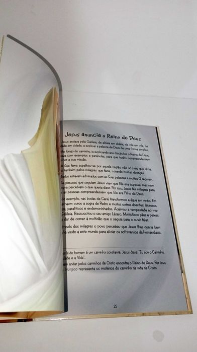 A Vida de Jesus - Bookout