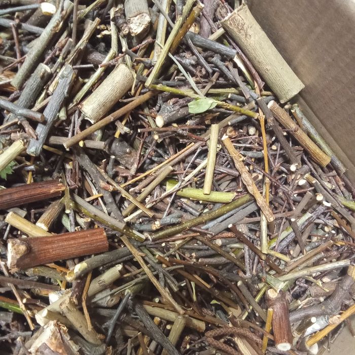 Рай для грызунов .