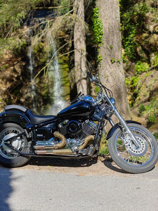 Dragstar XVS 650 Custom