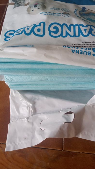 Absorventes para animais