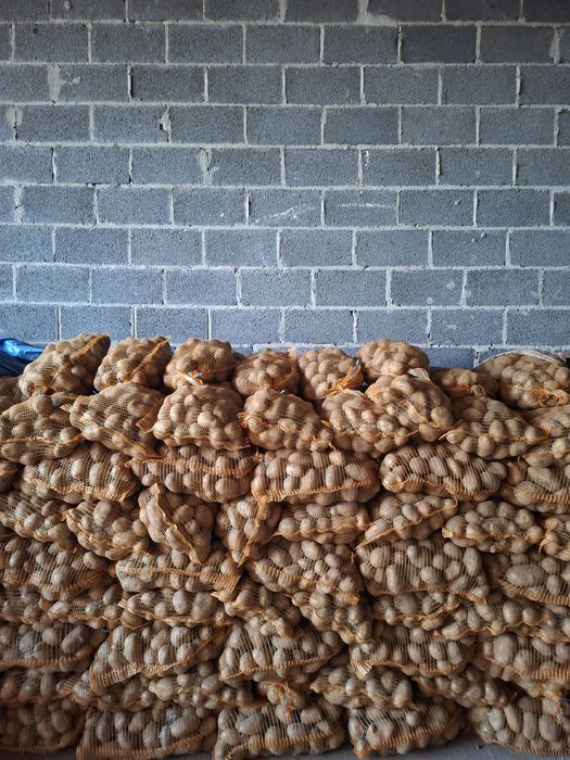 Sprzedam ziemniaki soraya