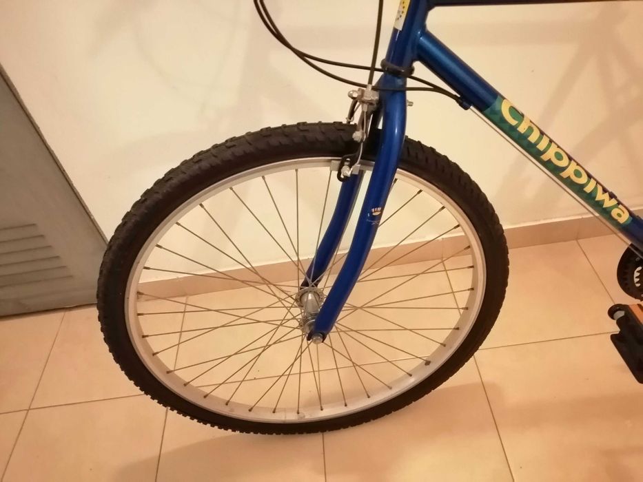 Bicicleta de montanha