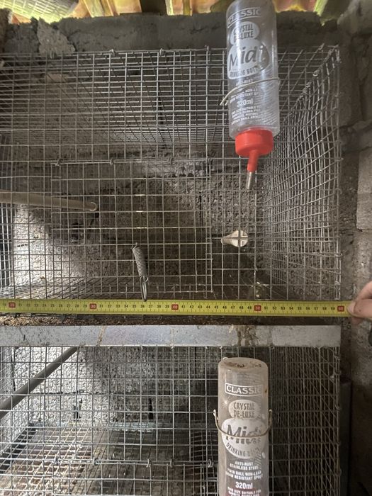 Torre de 5 viveiros criação