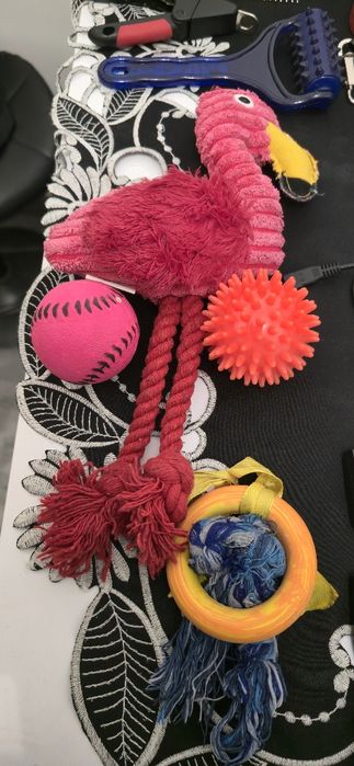 Zestaw dla małego pieska