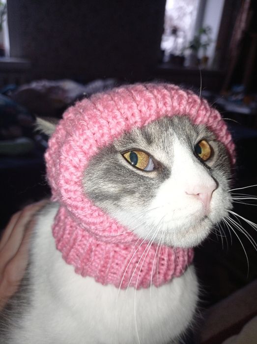 Одяг для собак, котів. В'язані шапки светри,  комбенізон, жилет.