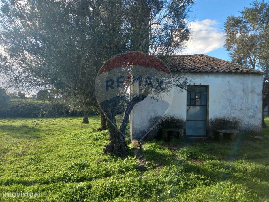 Terreno  para venda