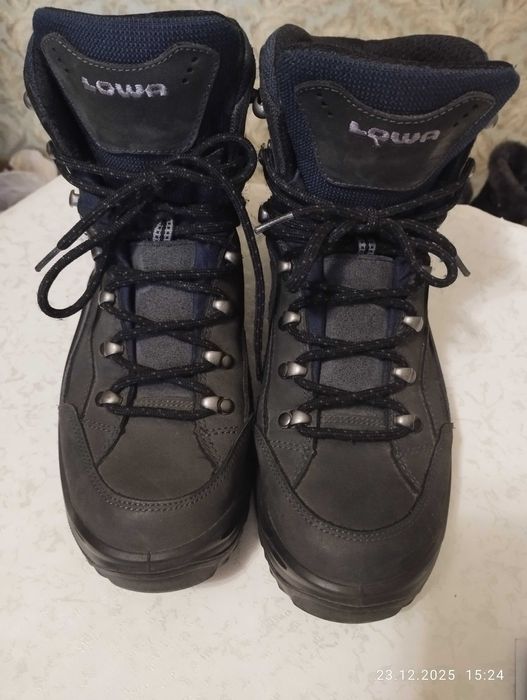 Черевики Lowa Renegade GTX Mid