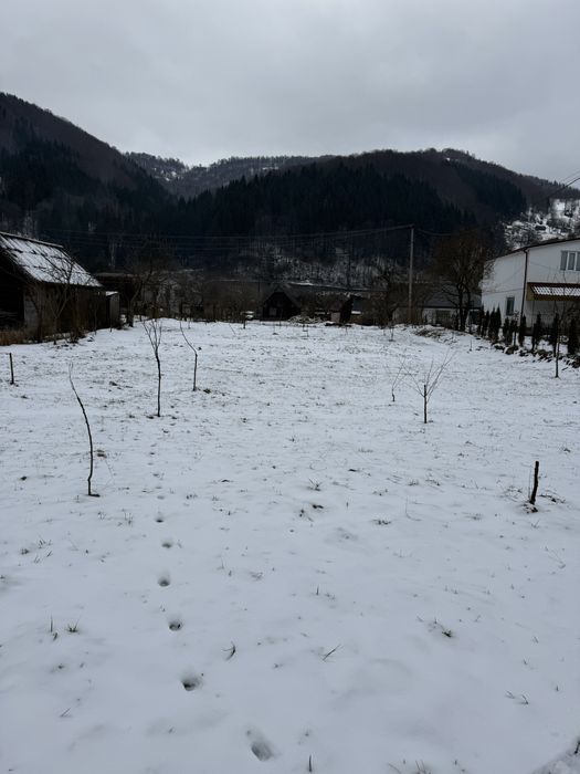 Продаж земельної ділянки с. Кваси Закарпатська обл