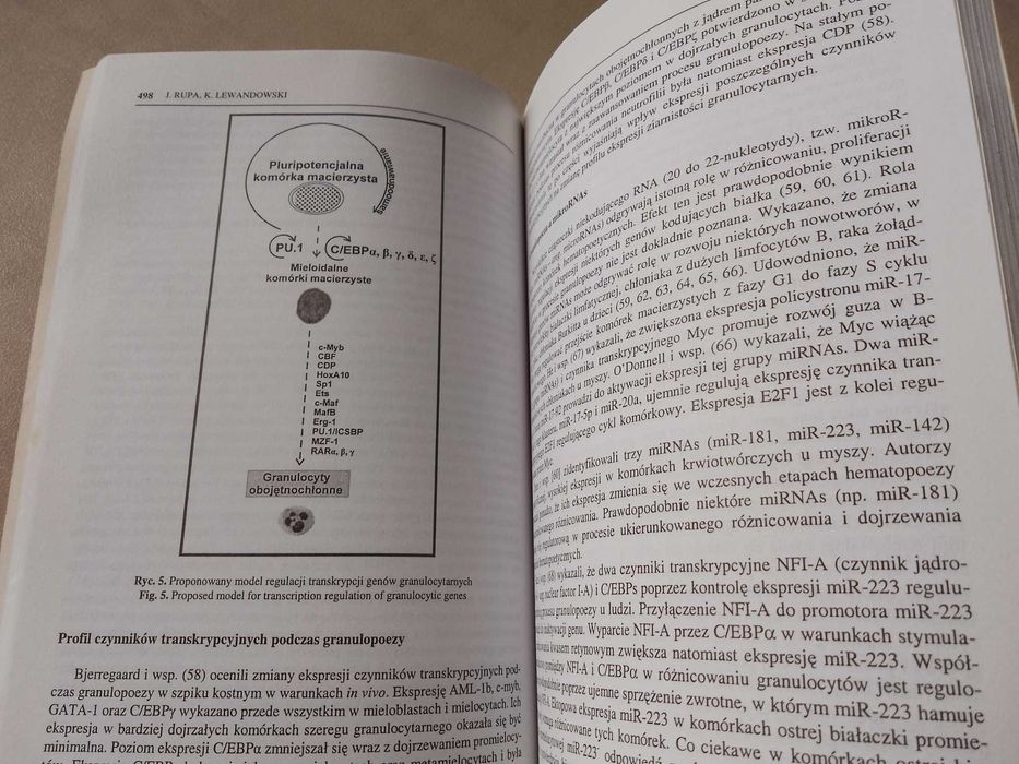 "Acta Haematologica Polonica" 2006, tom 37, zeszyt 4