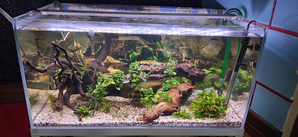 Aquarios completos para venda