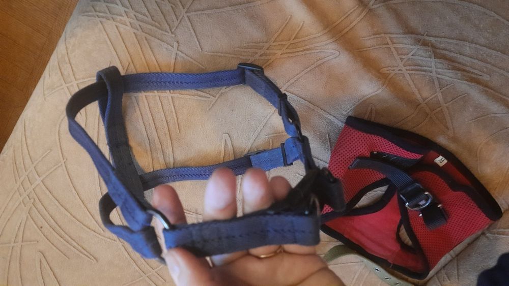 Шлейка ,поводок для собак