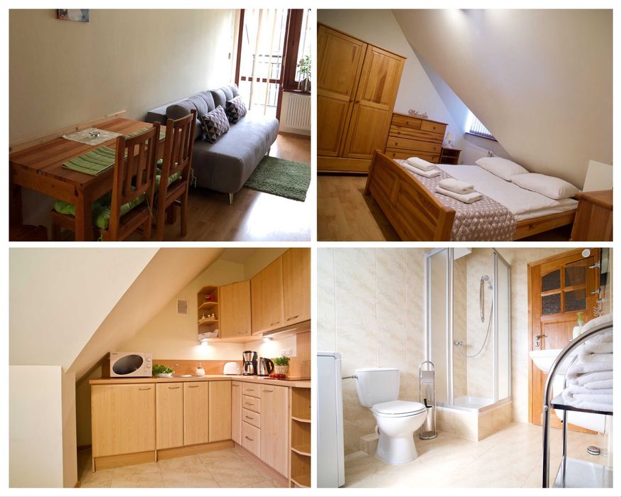 4apart-centrum PKP PKS tel  692_54_53_49 wolne Terminy