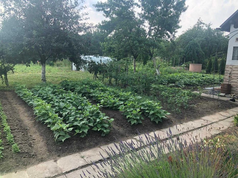 Sprzedam działkę  ogrodową -Stokrotka Bolesławiec