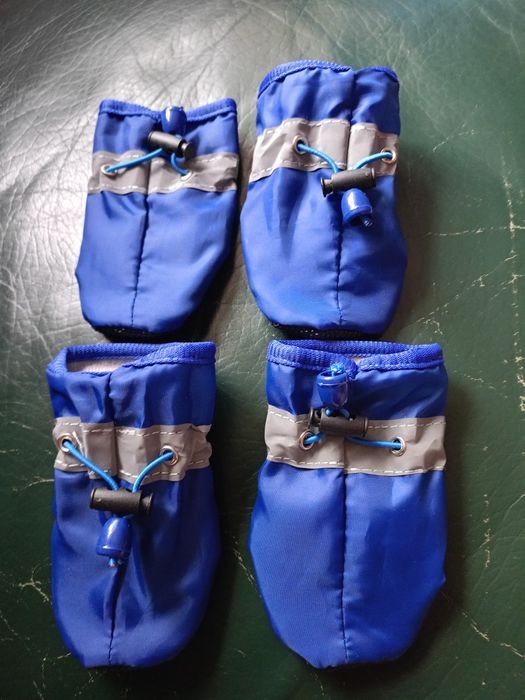 Buciki ochronne dla małego pieska