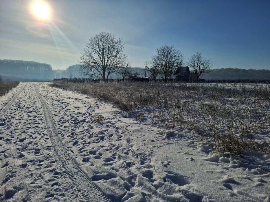 Продам зем. ділянку в с. Майдан-Чапельський