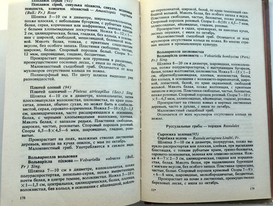 Вассер Съедобные и ядовитые грибы Карпат