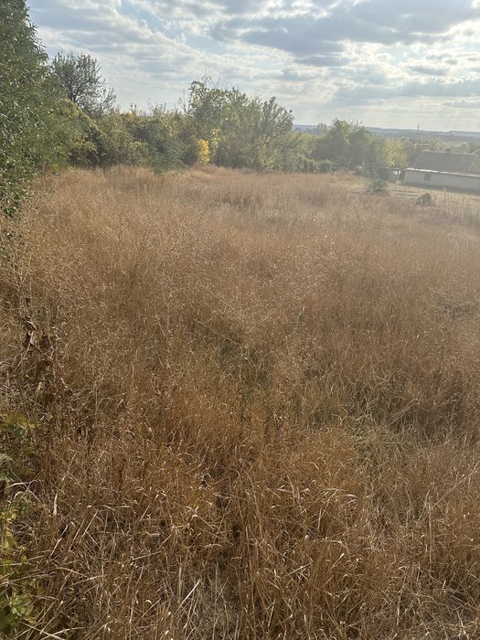 Продаж! Земельної ділянки Солоницівка