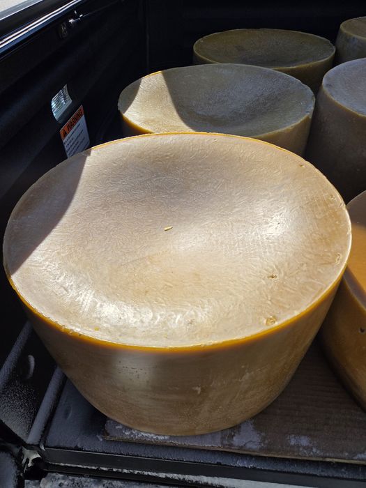 Продам віск бджолиний