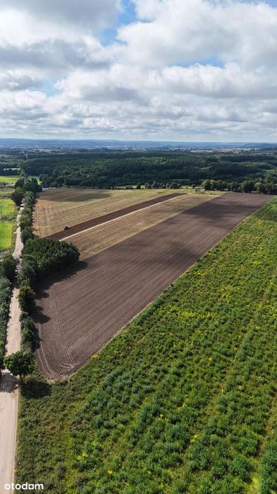 Działka nr 106/3 Wilkowo Nowowiejskie 1,3936 ha - Widok 3