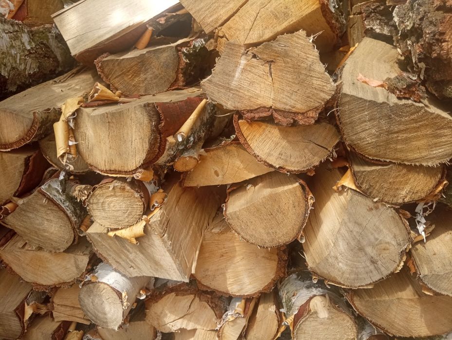 Drzewo  brzoza opałowe kominkowe do palenia do kominka pieca