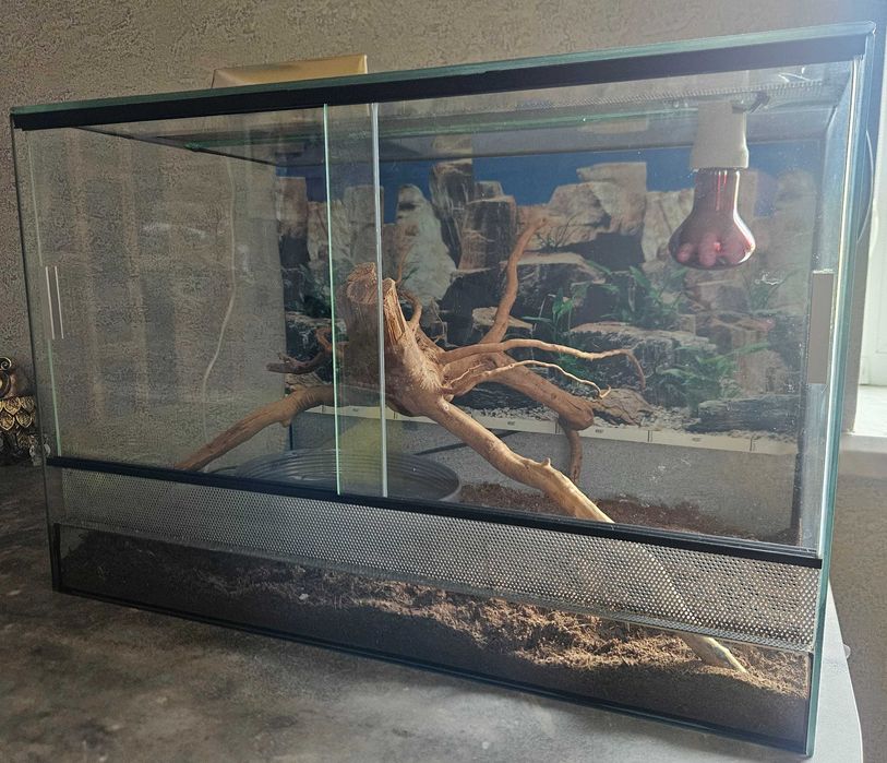 Тераріум в комплекті