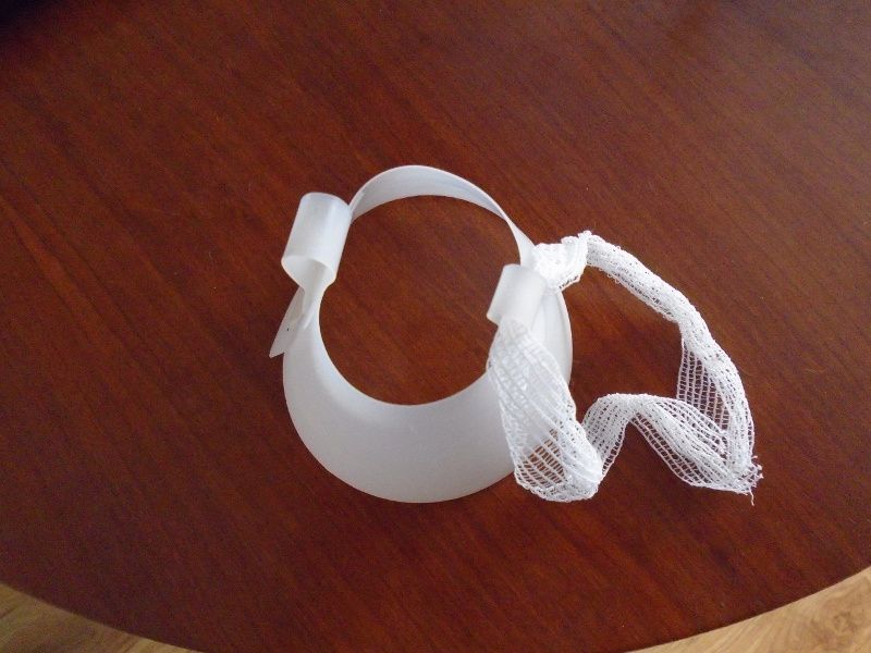 Colar p/animal bebé convalescente