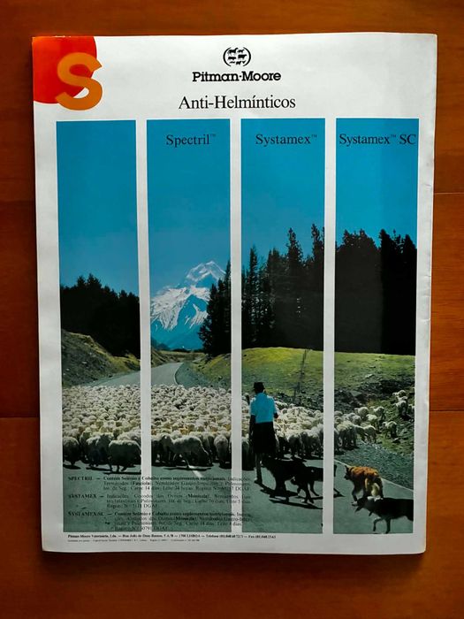 Revista Veterinária Técnica - Ago. 1994