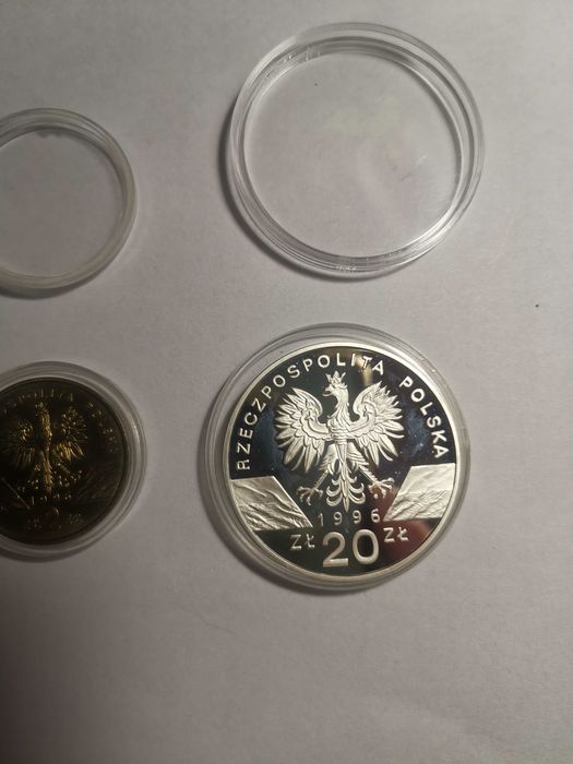 Srebrna moneta Jeż 20zł - 1996r