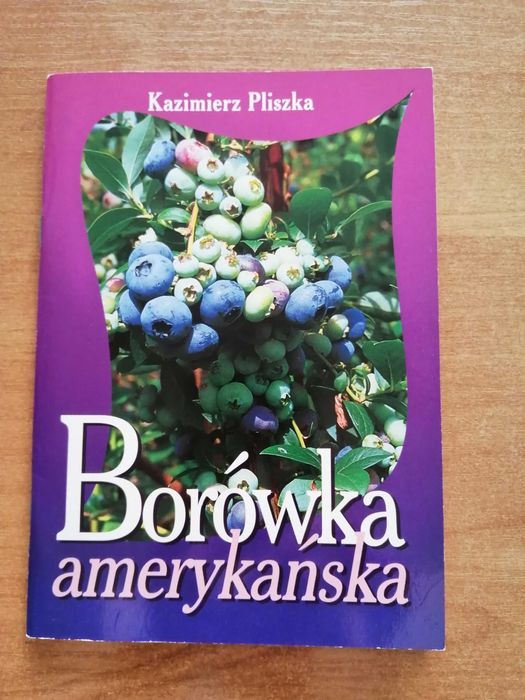 Borówka amerykańska Kazimierz Pliszka