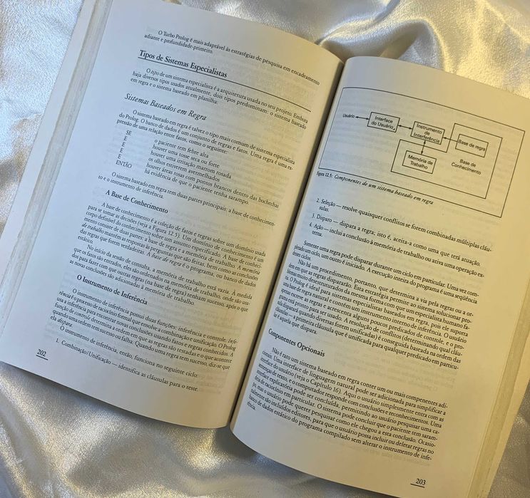 Advanced Techniques in Turbo Prolog – Carl Townsend (Campus, 343 pp.)64283840253571122