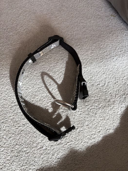 Obroza odblaskowa dla psa