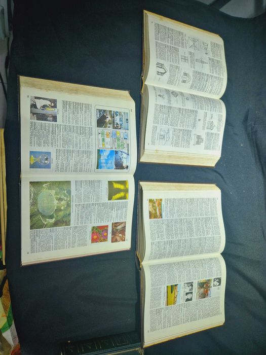 Dicionário Enciclopédico Koogan. Larousse. Seleções. - 3 volumes