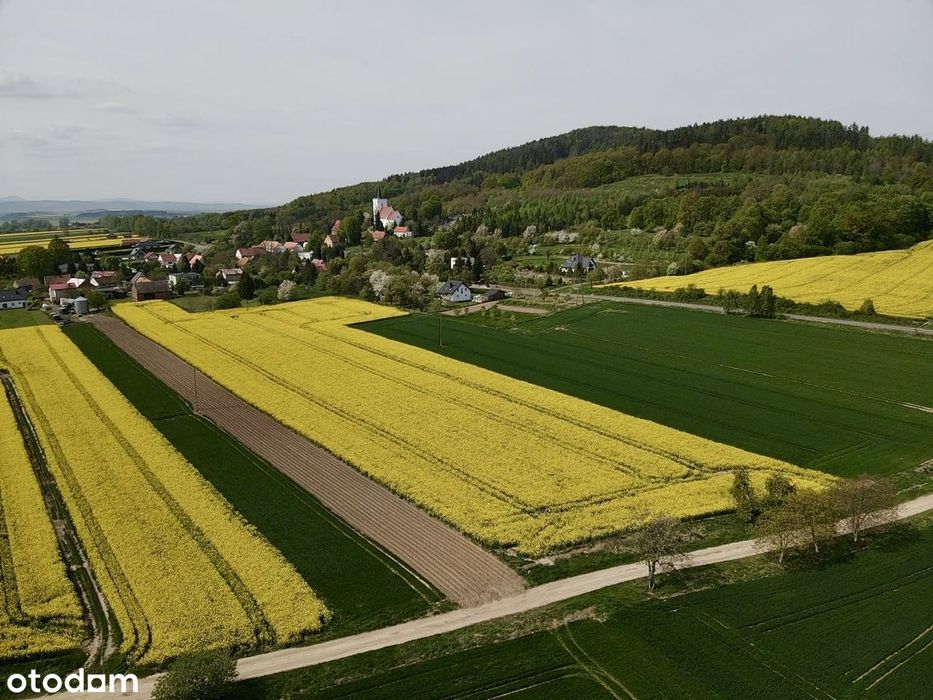 Widokowe działki budowlane tylko 15 min od Dzierżoniowa i Świdnicy!