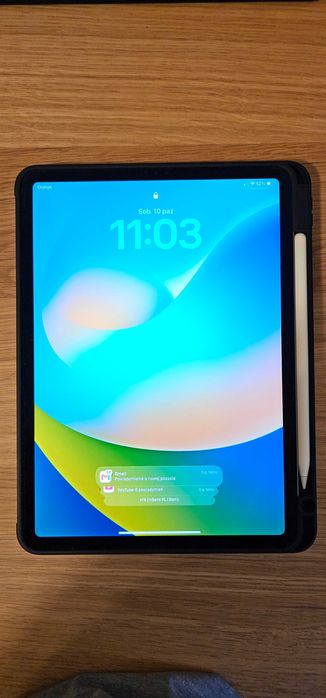 iPad Pro 11" 2. gen 256GB LTE, Apple Pencil 2