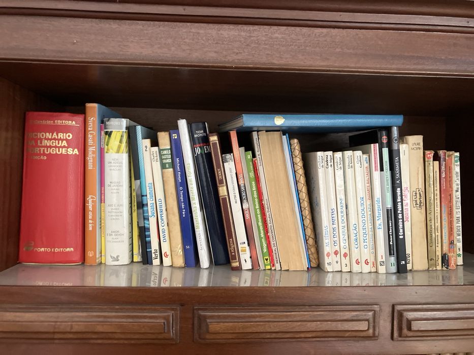 Conjunto de livros, dicionarios, enciclopedias
