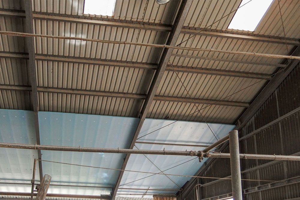 XPS Styrodur Płyta Rolnicza Agro Ocieplenie Obory Kurnika Chlewni