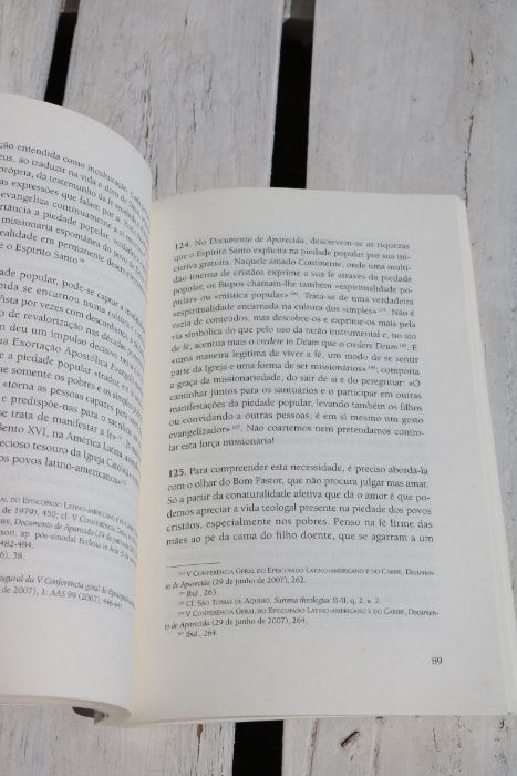 Papa Francisco - A Alegria do Evangelho