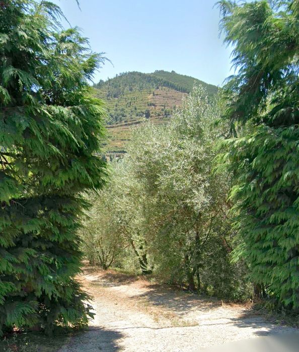 Quinta com vinha, casa e adega – Baião (próxima do Douro)