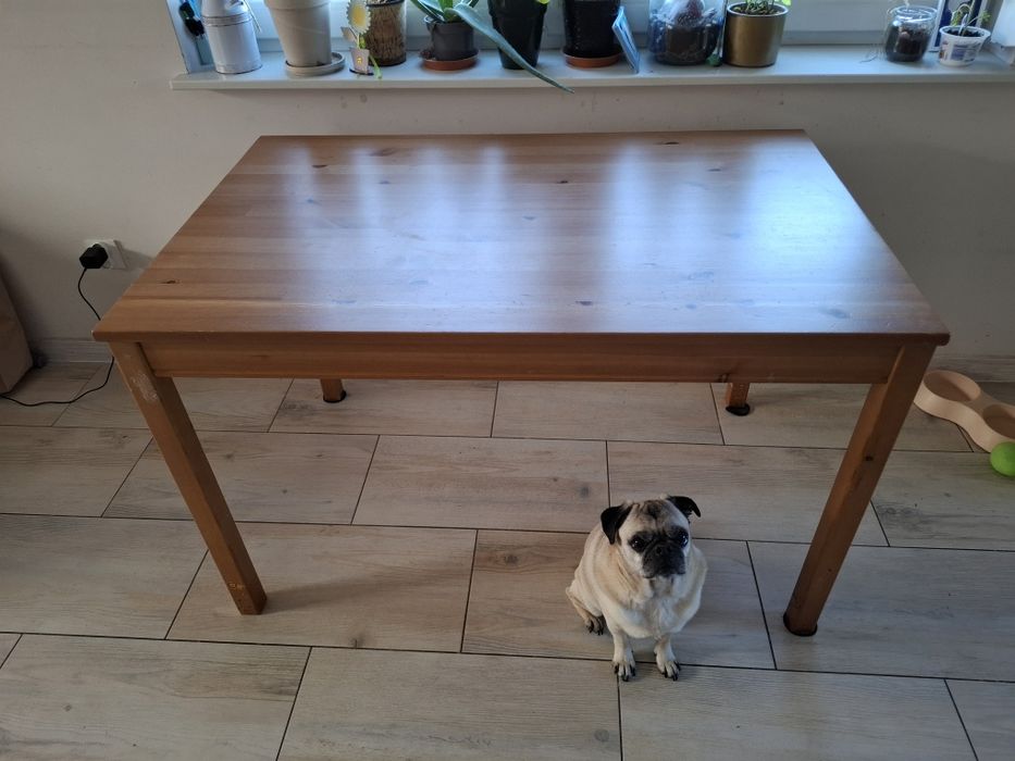 Stół Ikea model HÄGERNÄS