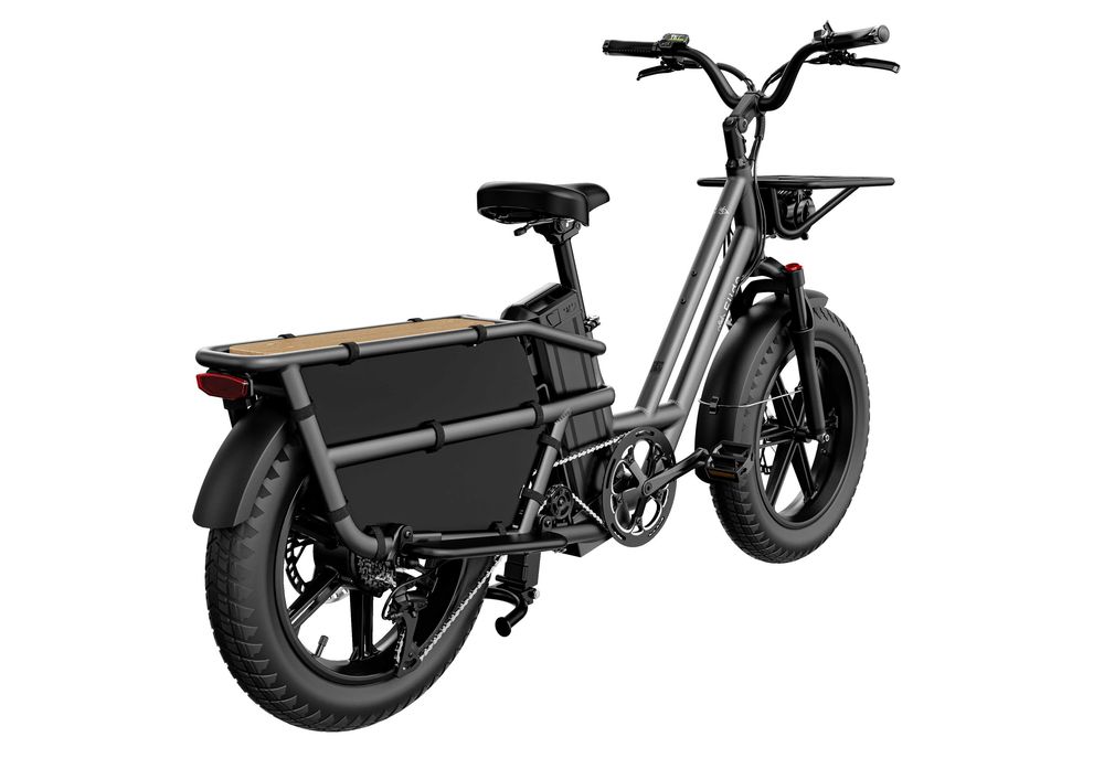 Bicicleta Elétrica Fiido T2 Longtail - NOVA