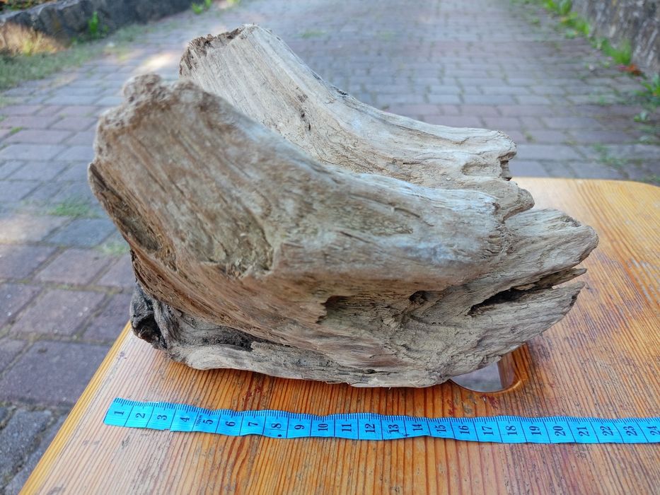 Морена коряга в акваріум