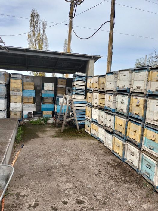 Продам вулики б/в