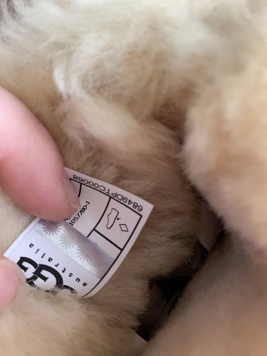 Черевики ugg