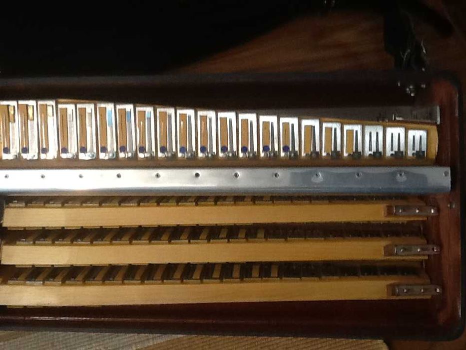 Acordeão PIGINI para venda