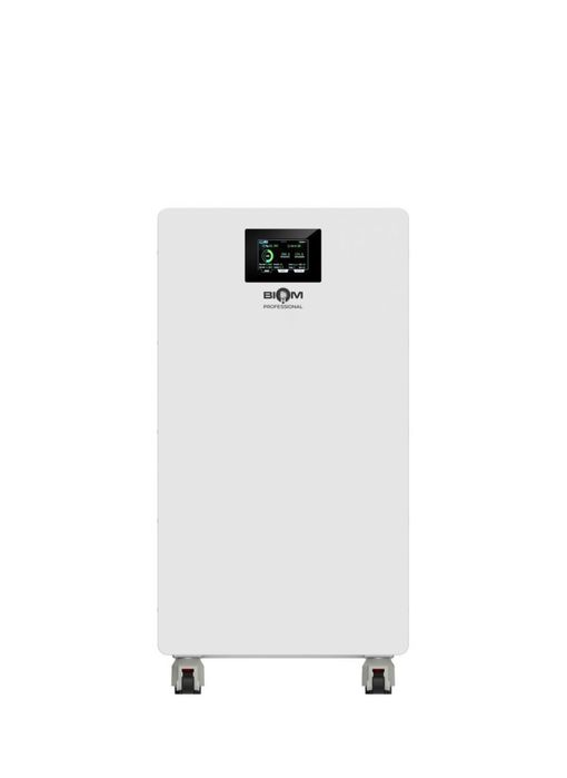 Акумуляторна батарея Biom Professional 48В (51.2В) BALFP-512300-V2 15кВтч