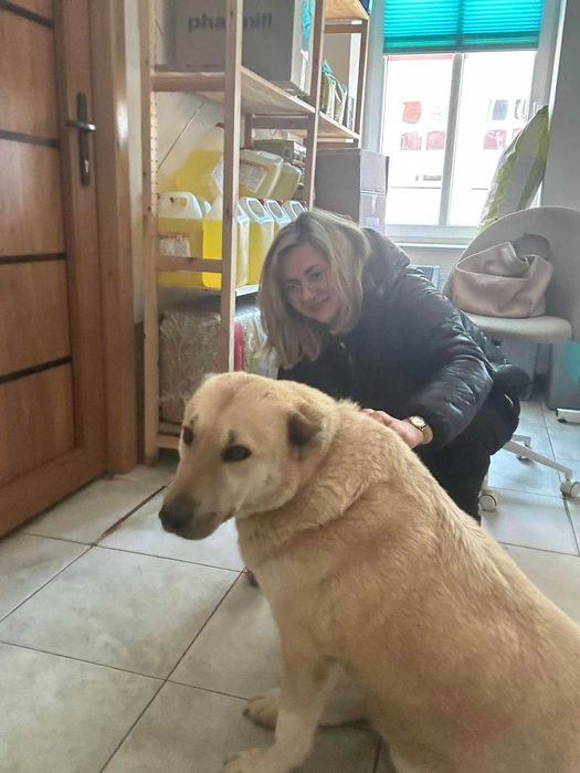 Zuska przyjechala do nas z Turcji